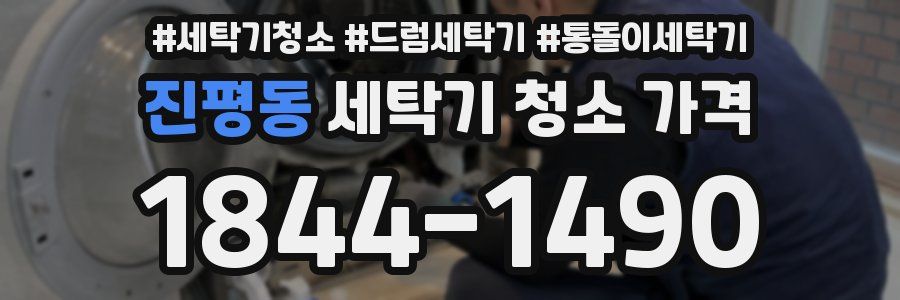 진평동 세탁기 청소 가격