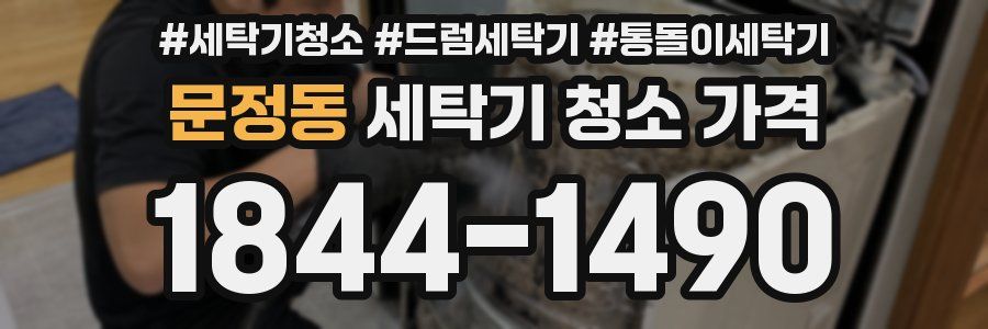 문정동 세탁기 청소 가격
