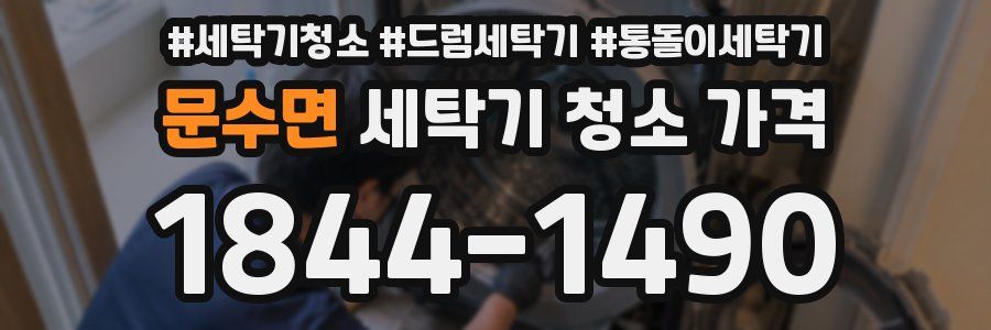 문수면 세탁기 청소 가격