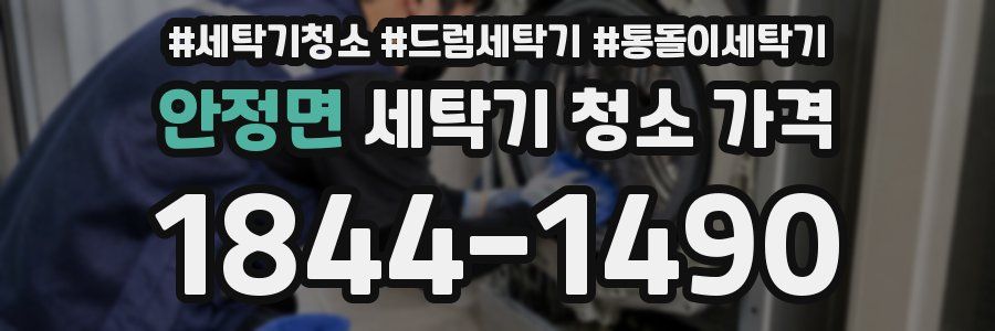 안정면 세탁기 청소 가격