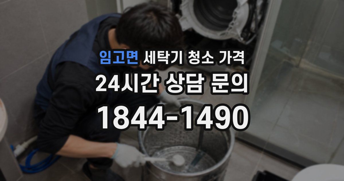 임고면 세탁기 청소 가격