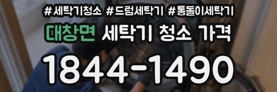 대창면 세탁기 청소 가격