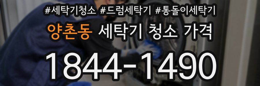 양촌동 세탁기 청소 가격