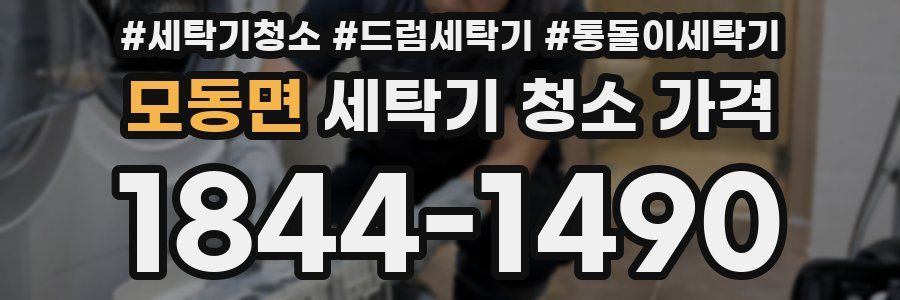모동면 세탁기 청소 가격