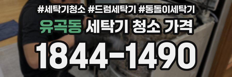 유곡동 세탁기 청소 가격