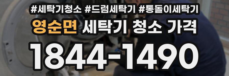 영순면 세탁기 청소 가격