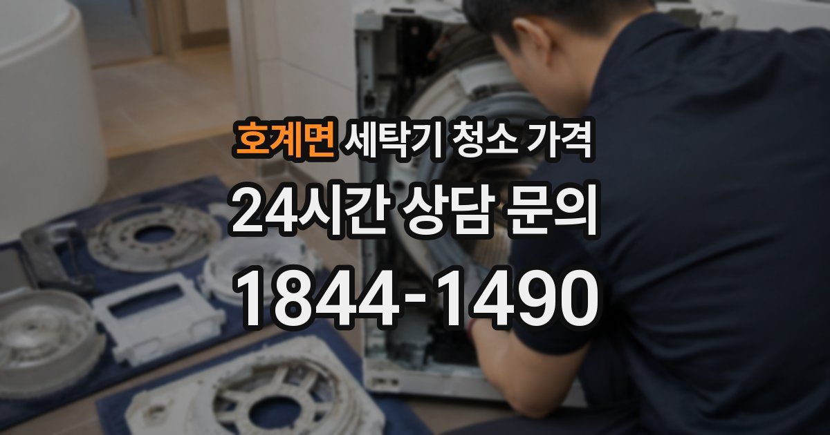 호계면 세탁기 청소 가격
