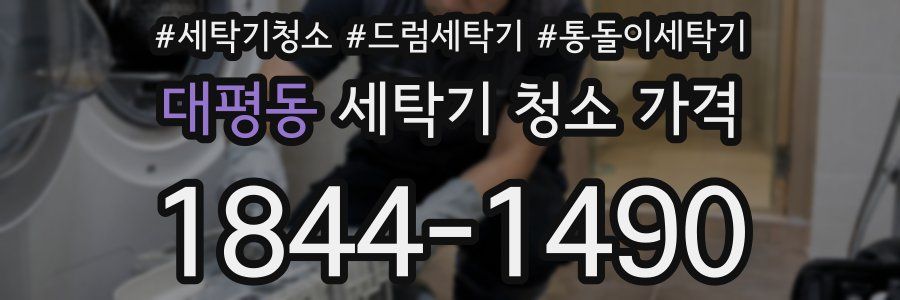 대평동 세탁기 청소 가격