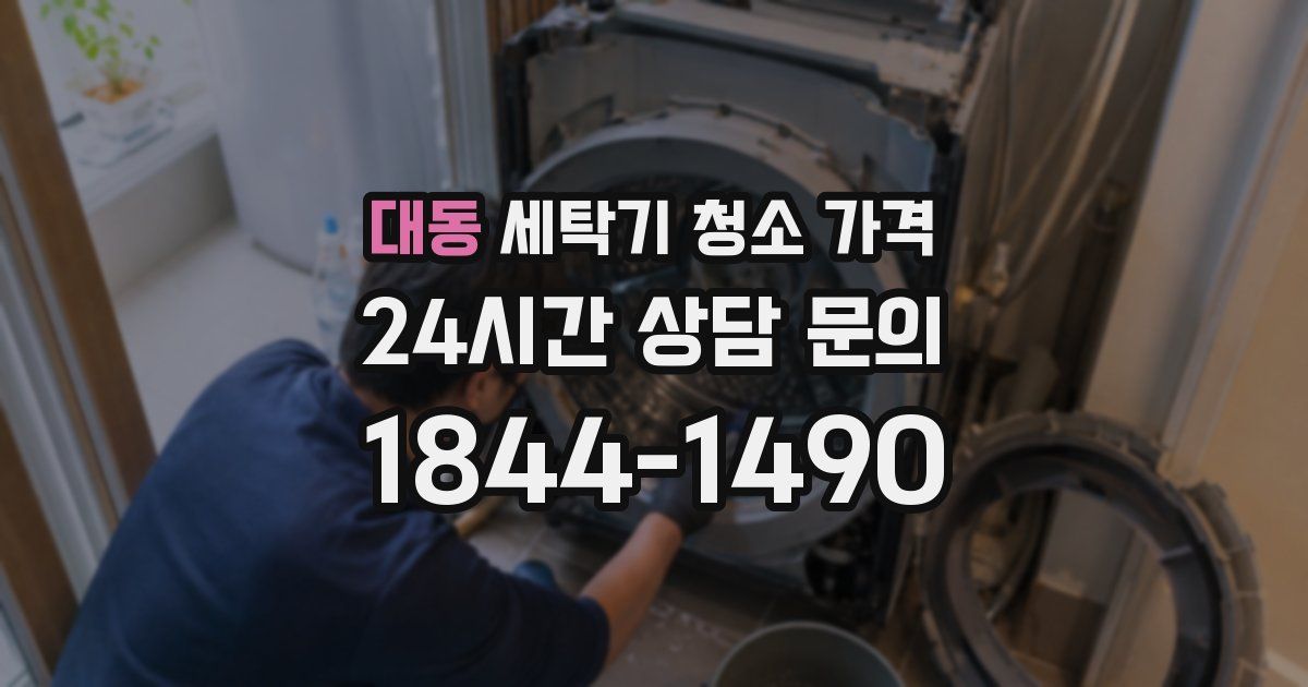 대동 세탁기 청소 가격