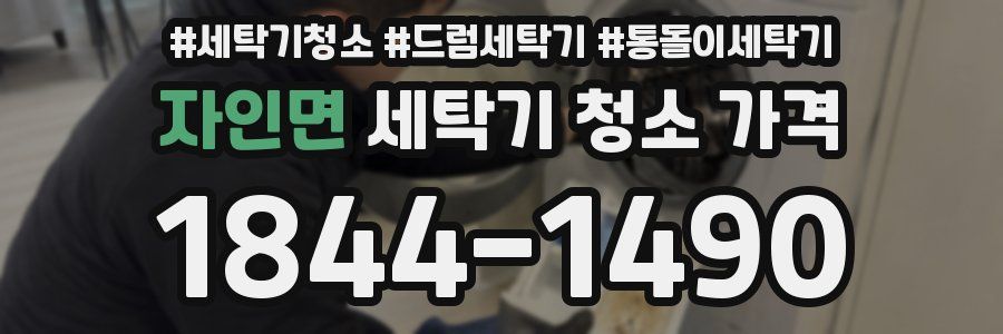 자인면 세탁기 청소 가격