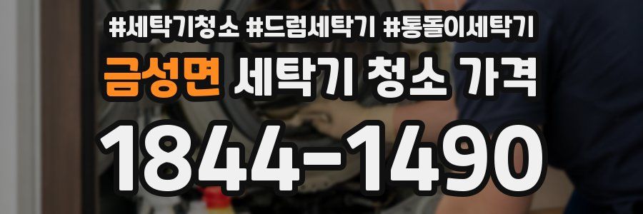 금성면 세탁기 청소 가격