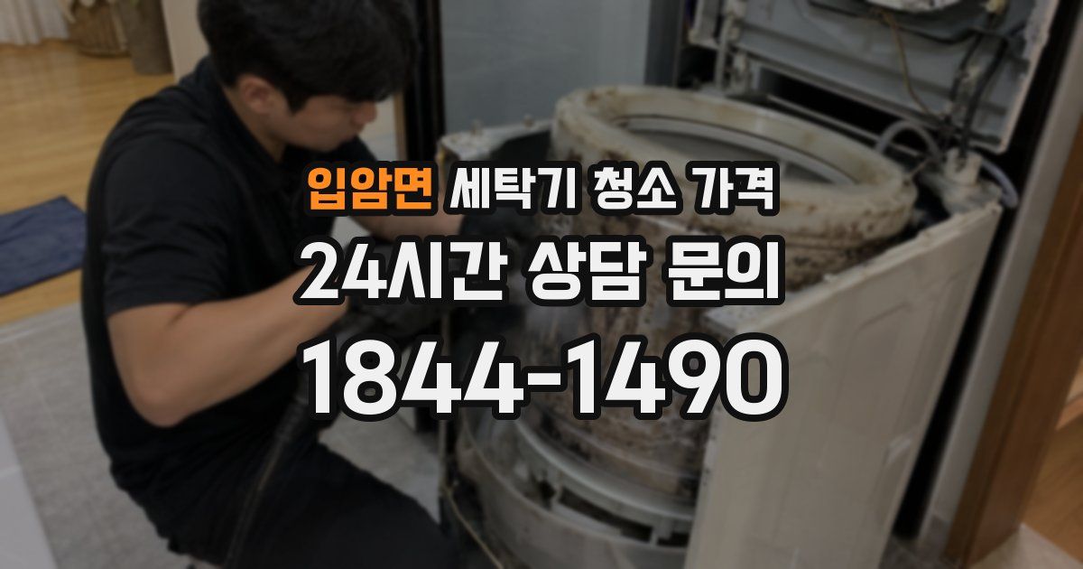 입암면 세탁기 청소 가격