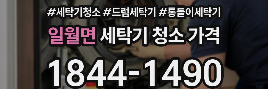 일월면 세탁기 청소 가격