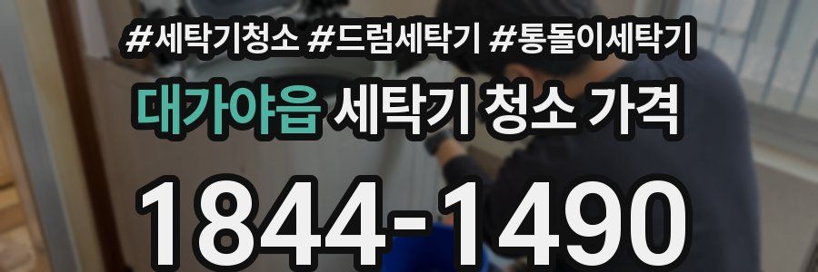 대가야읍 세탁기 청소 가격