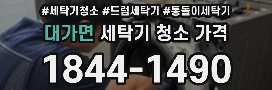 대가면 세탁기 청소 가격