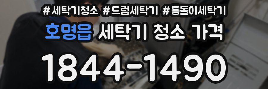 호명읍 세탁기 청소 가격