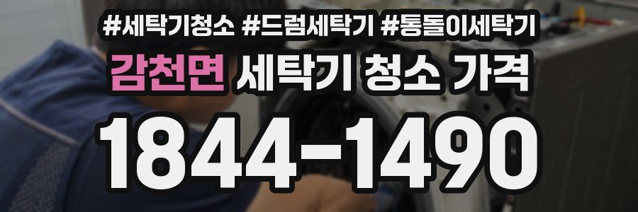 감천면 세탁기 청소 가격
