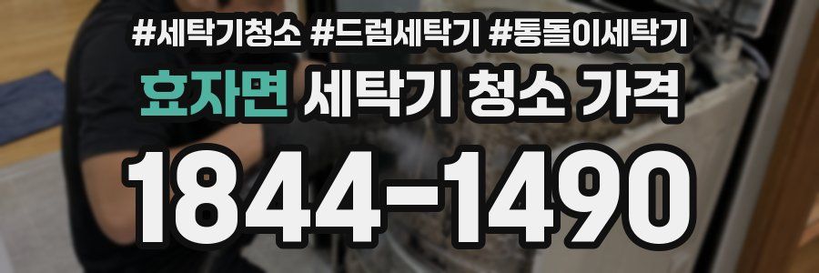 효자면 세탁기 청소 가격