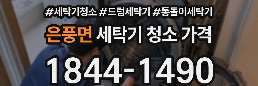 은풍면 세탁기 청소 가격