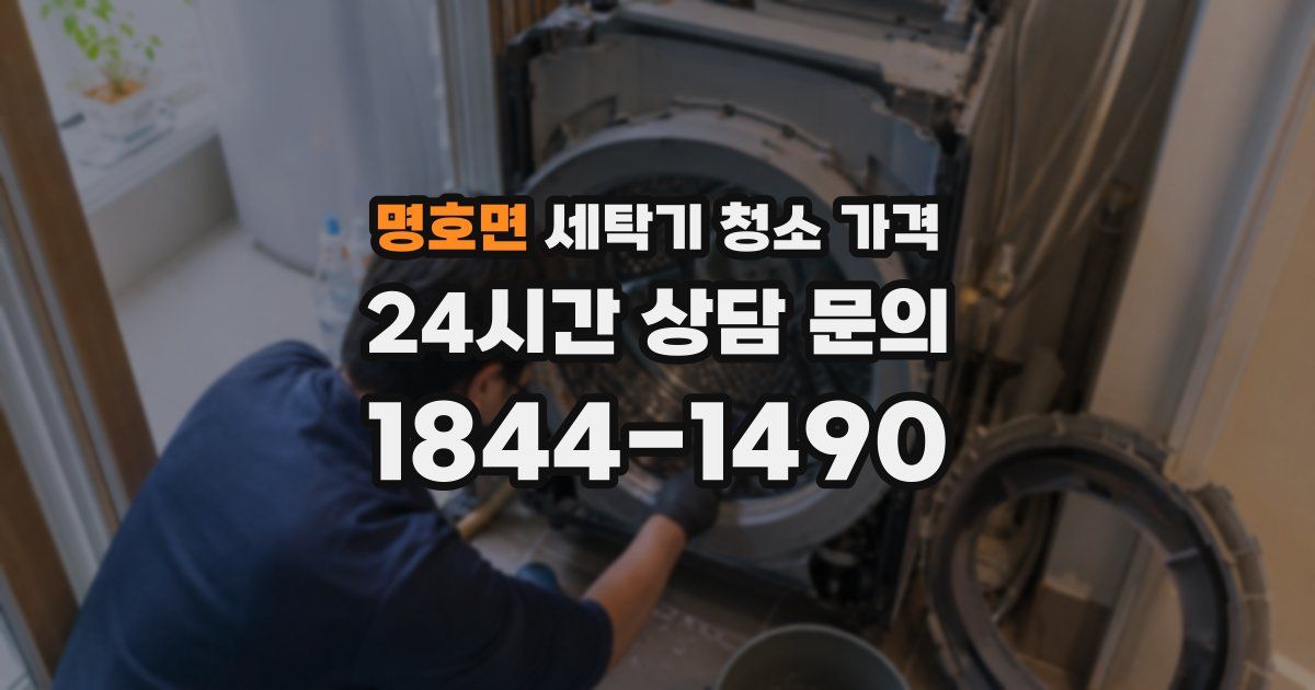 명호면 세탁기 청소 가격