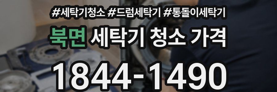 북면 세탁기 청소 가격