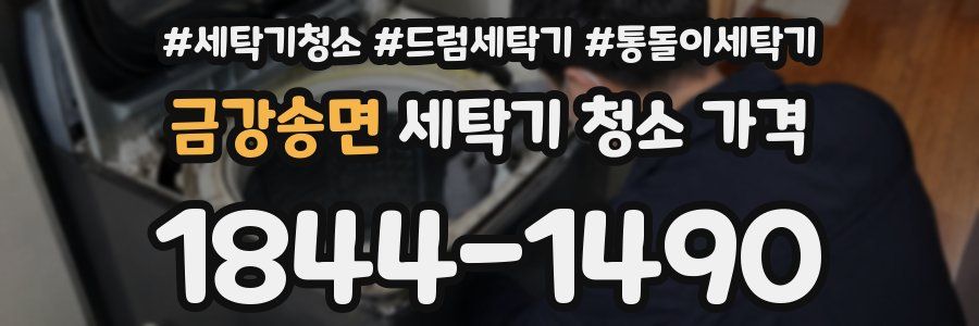 금강송면 세탁기 청소 가격