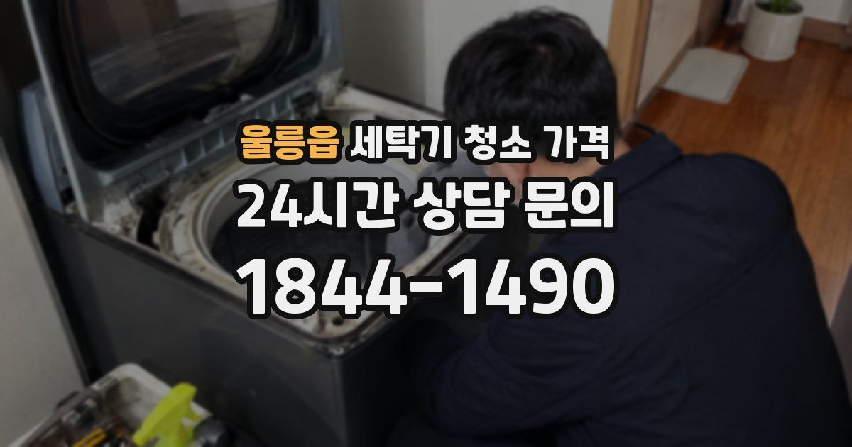 울릉읍 세탁기 청소 가격