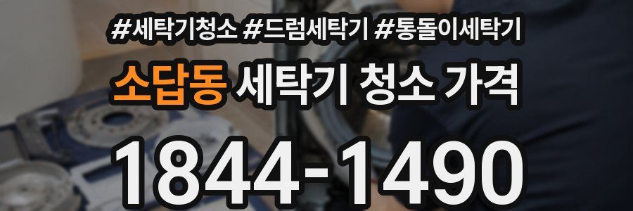 소답동 세탁기 청소 가격