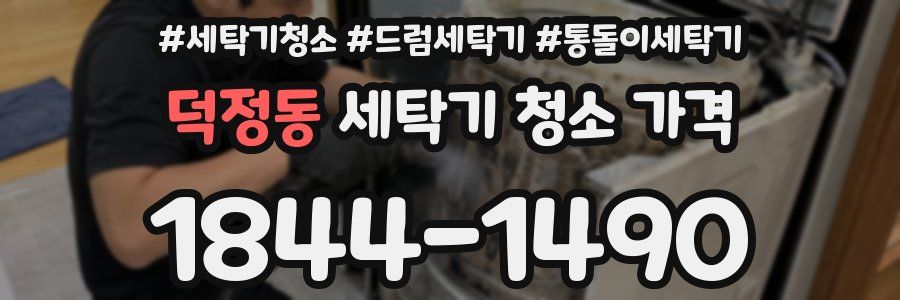 덕정동 세탁기 청소 가격