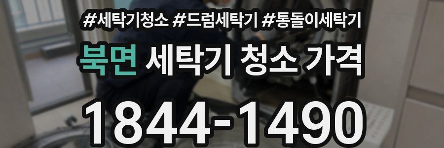 북면 세탁기 청소 가격