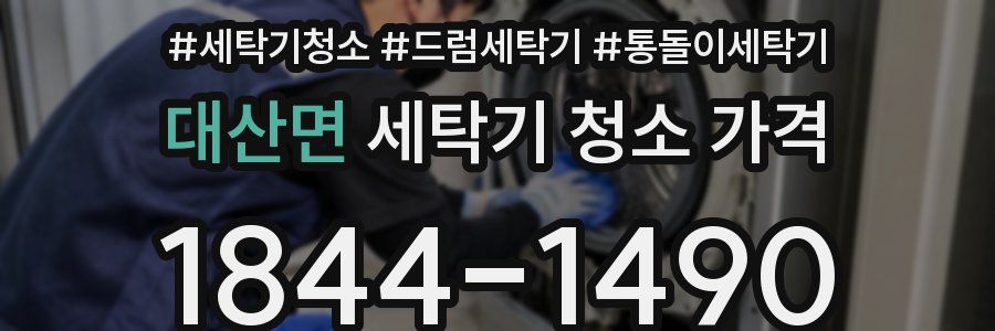 대산면 세탁기 청소 가격