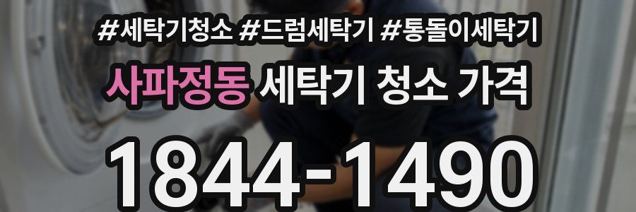 사파정동 세탁기 청소 가격