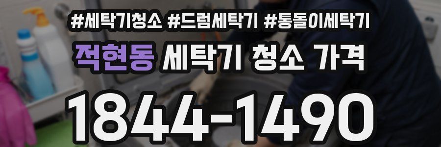 적현동 세탁기 청소 가격