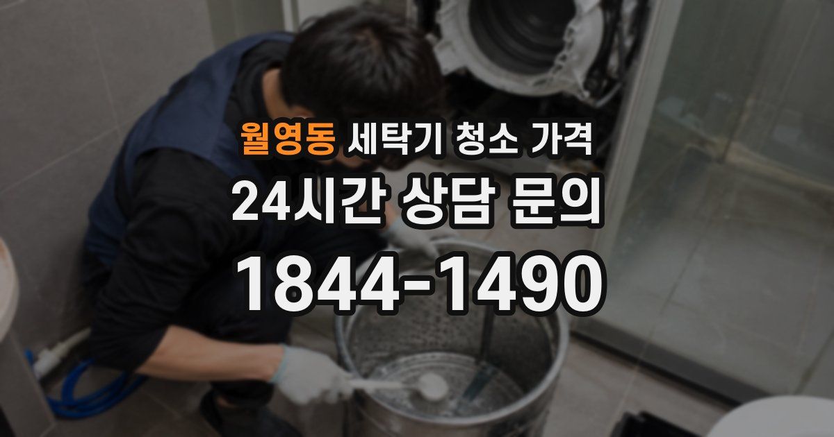 월영동 세탁기 청소 가격