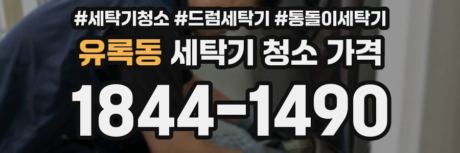 유록동 세탁기 청소 가격