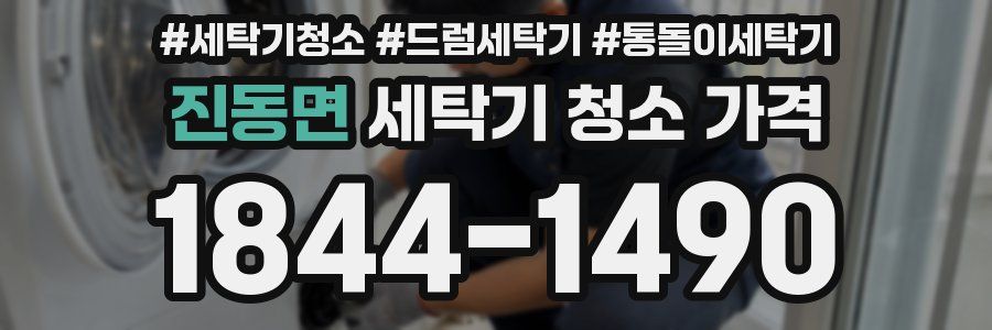 진동면 세탁기 청소 가격