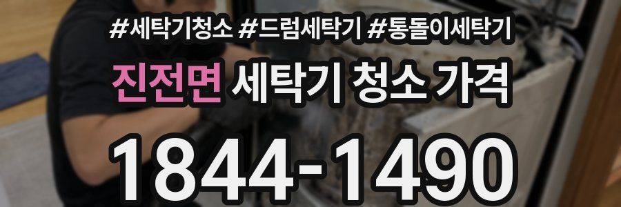 진전면 세탁기 청소 가격