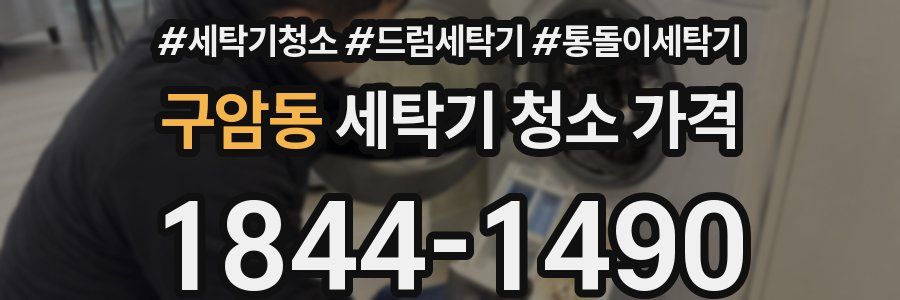구암동 세탁기 청소 가격