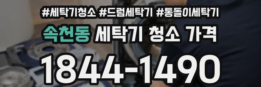 속천동 세탁기 청소 가격