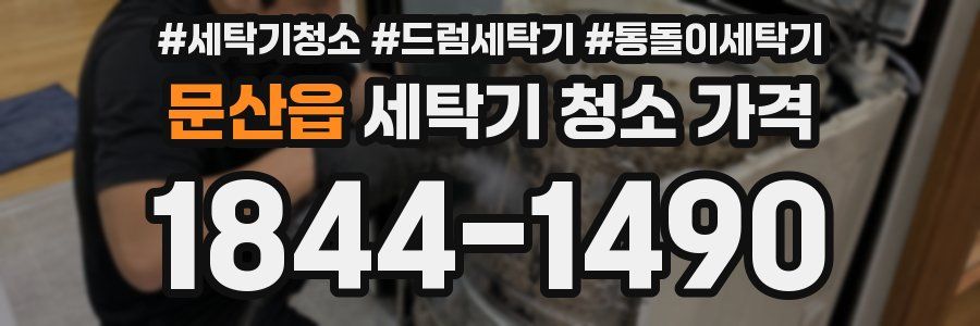 문산읍 세탁기 청소 가격