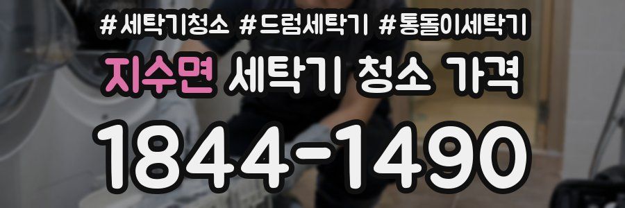 지수면 세탁기 청소 가격