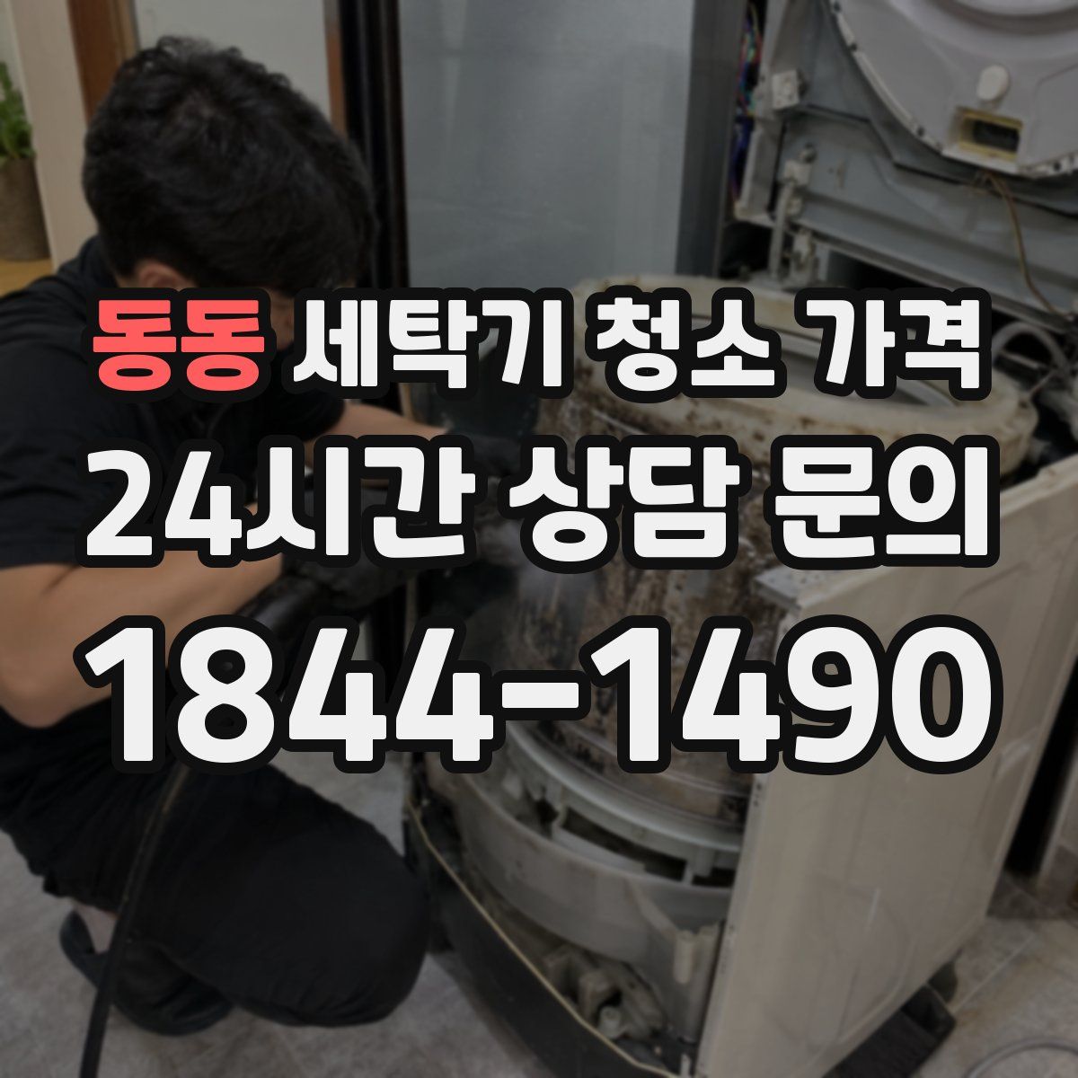 동동 세탁기 청소 가격