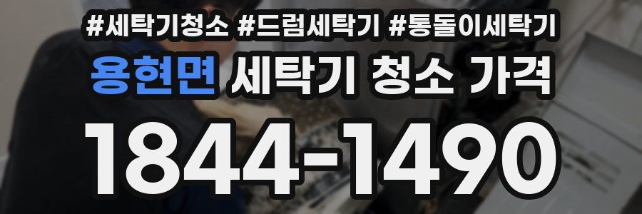 용현면 세탁기 청소 가격