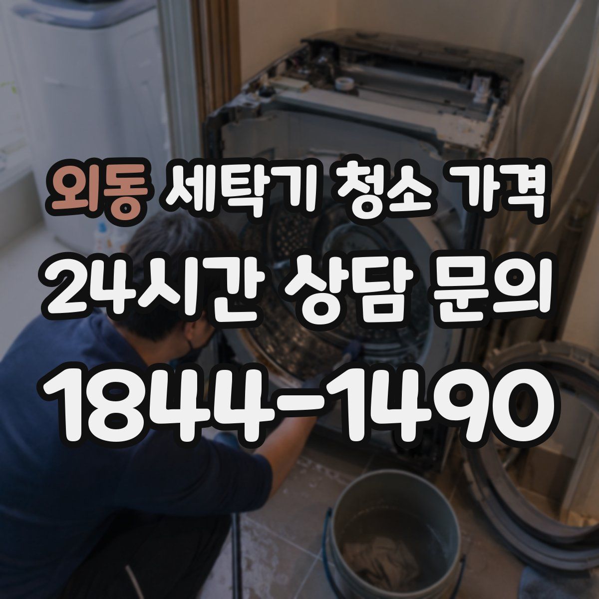 외동 세탁기 청소 가격