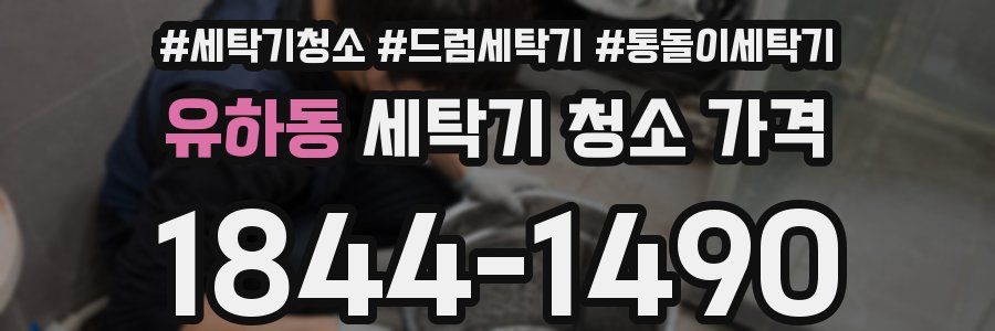 유하동 세탁기 청소 가격