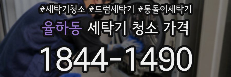 율하동 세탁기 청소 가격