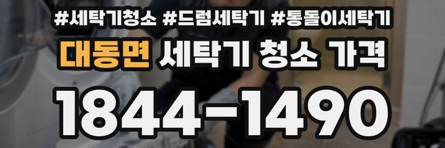 대동면 세탁기 청소 가격