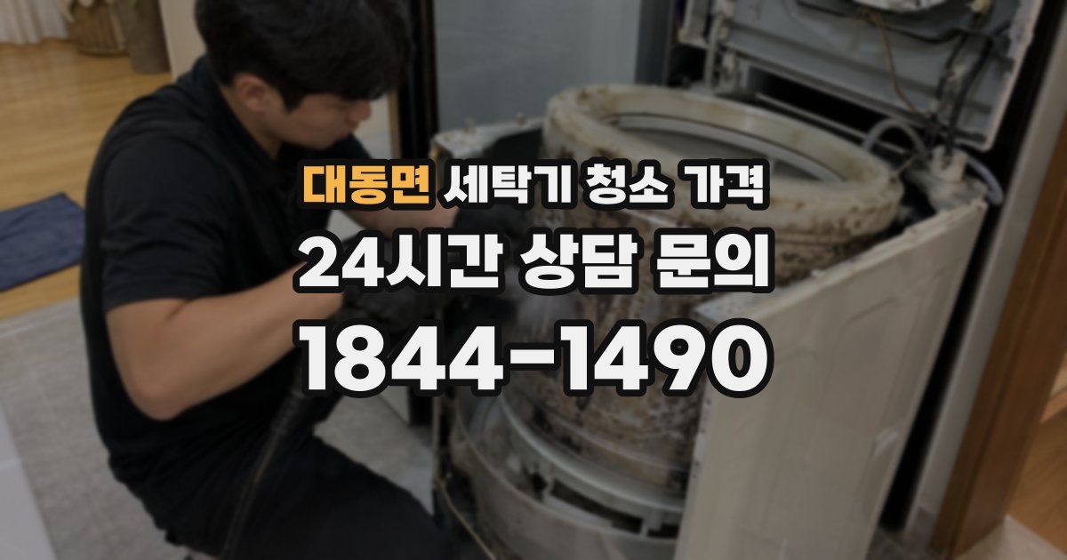 대동면 세탁기 청소 가격