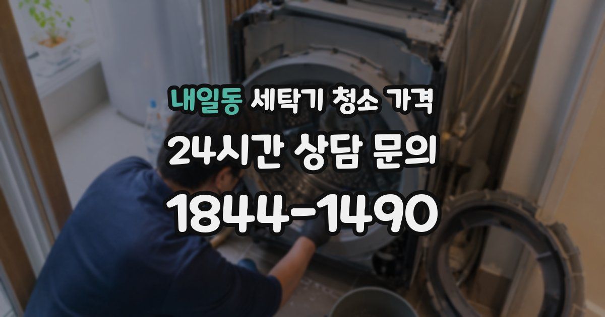 내일동 세탁기 청소 가격