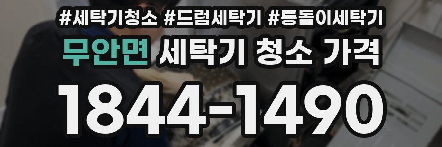 무안면 세탁기 청소 가격